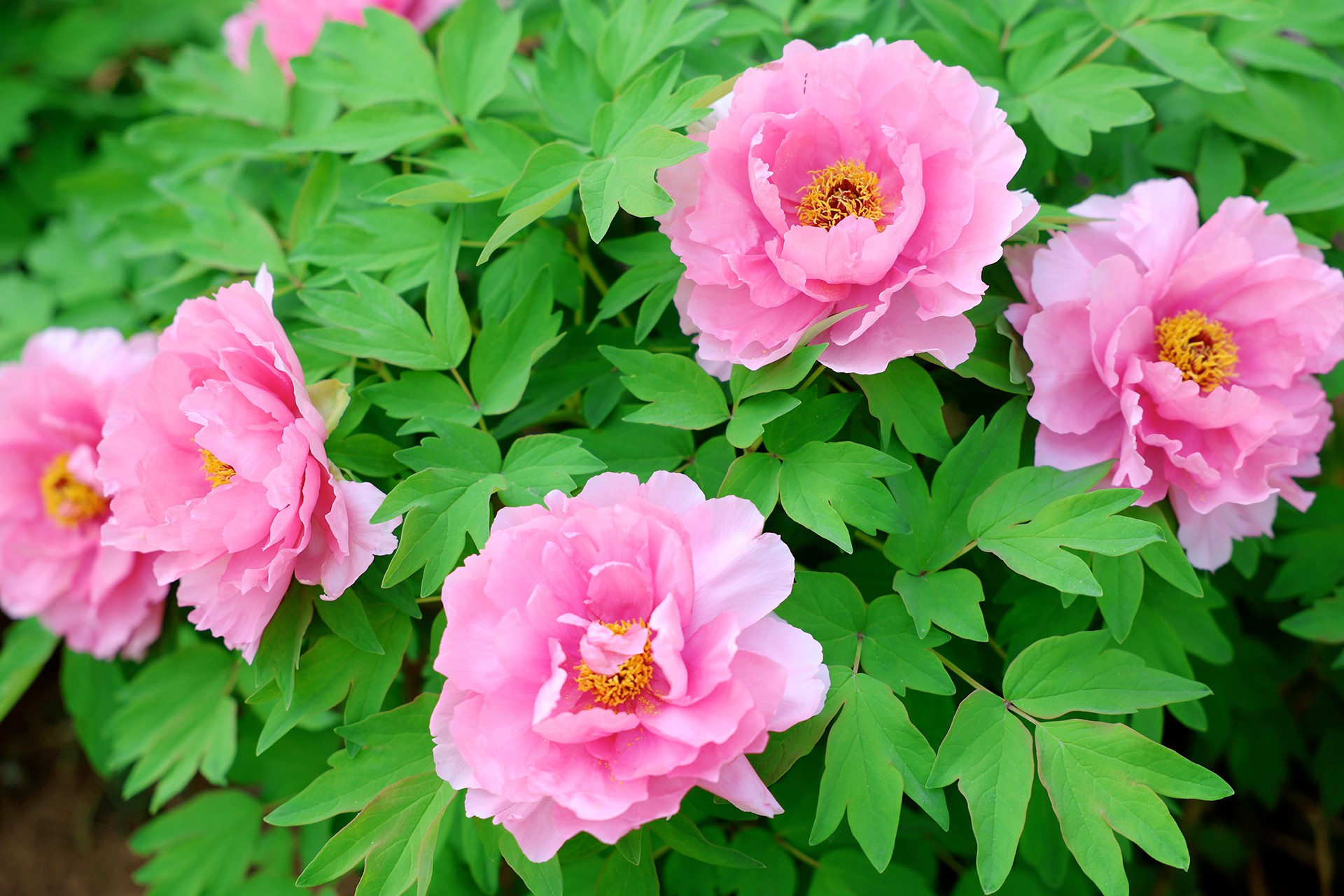 ��ů����