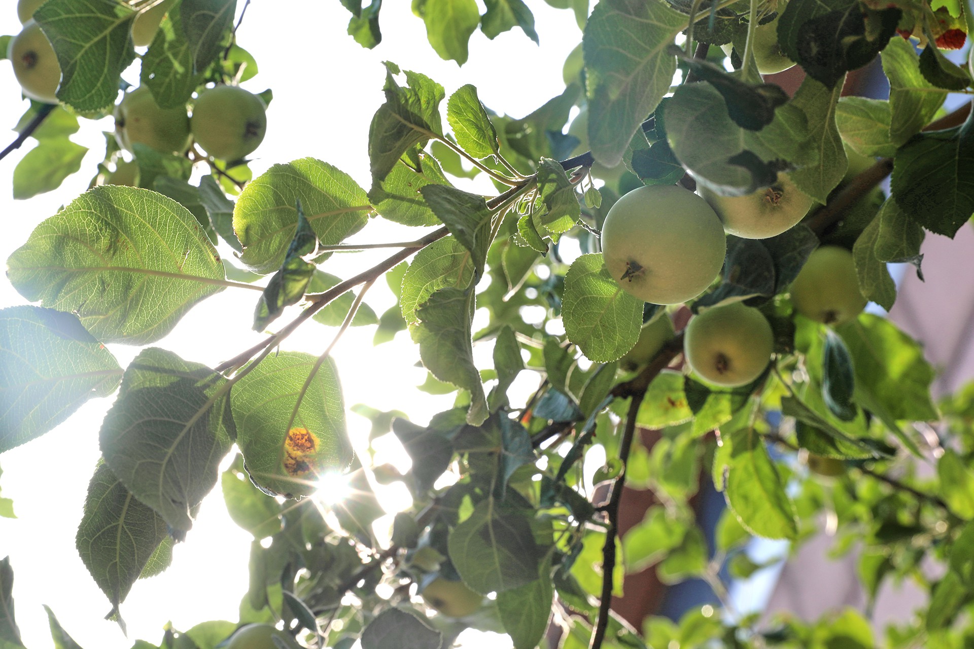 �����Դ�