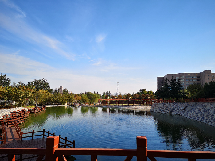 医学院 - 齐鲁理工学院