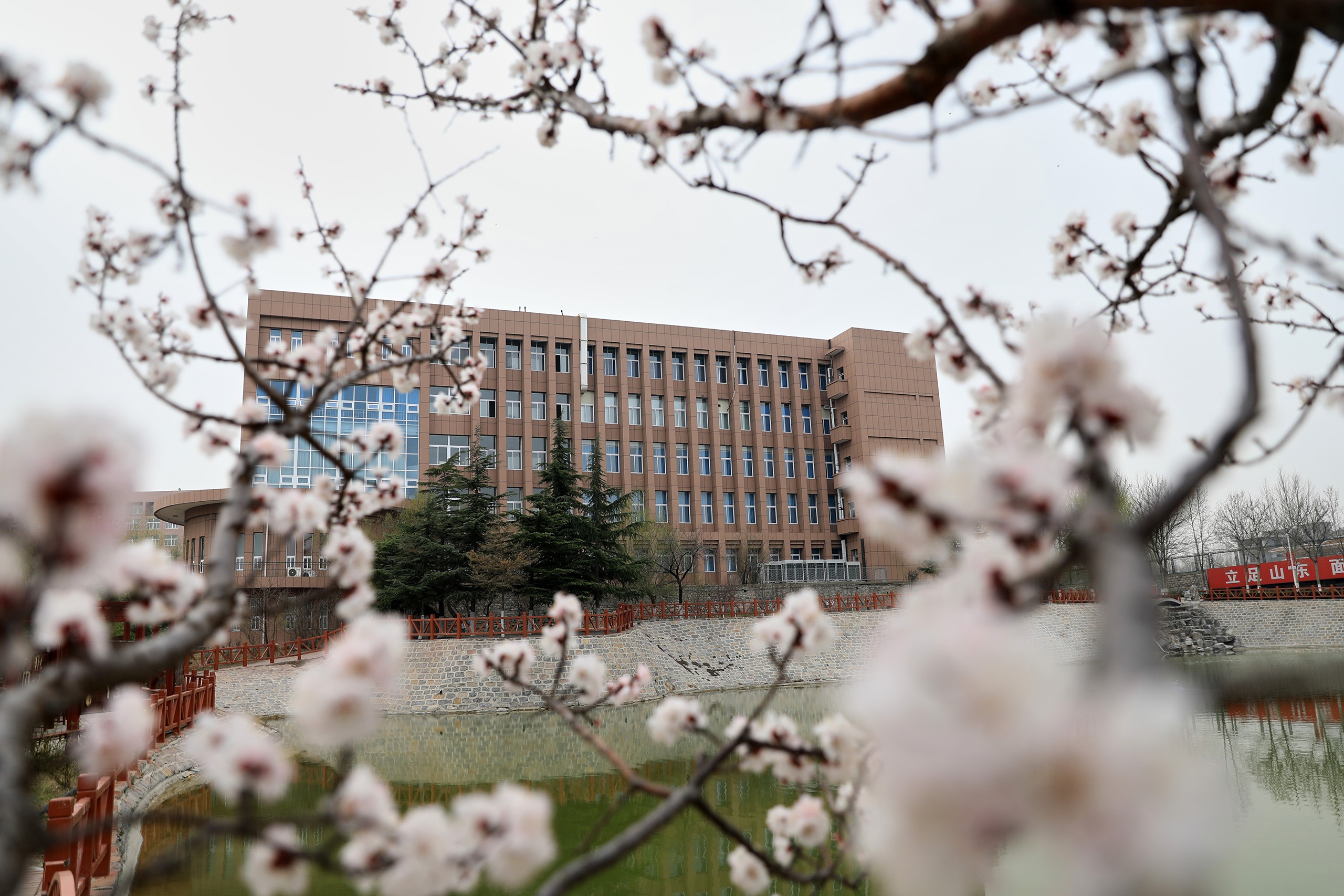 济南齐鲁理工学院图片