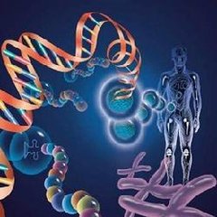 ɽ��ʡ�γ�˼��ʾ����|��ҽѧ���ﻯѧ��