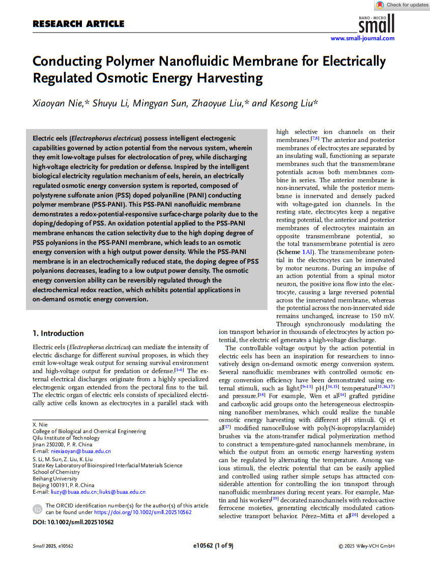 �����뻯ѧ����ѧԺ��С���ڡ�Small����������