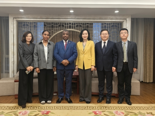 �°�ޱ�����������פ������һ��