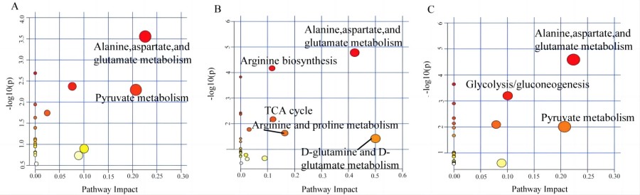1714443410367306.jpg 图片3.jpg