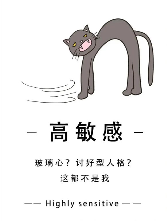 ��θ�����������