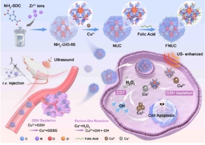 1735093324329002.jpg 图片1.jpg